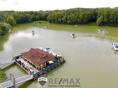 Gastronomie / Restaurant kaufen in 3422 Greifenstein (Bild 5)