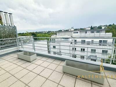 Wohnung kaufen in 1190 Wien (Bild 3)