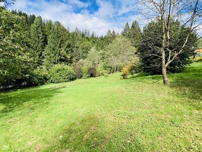 Grundstück kaufen in 8741 Weißkirchen (Bild 2)