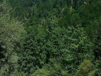 Eigentumswohnung in 4644 scharnstein (Bild 3)