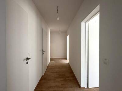 Terrassenwohnung kaufen in 1100 Wien (Bild 5)
