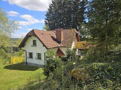 Haus kaufen in 4294 Sankt Leonhard