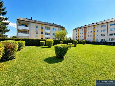 Wohnung mit Balkon kaufen in 4050 Traun (Bild 5)