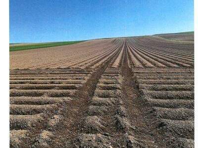 Grundstück kaufen in 2004 Niederhollabrunn (Bild 3)