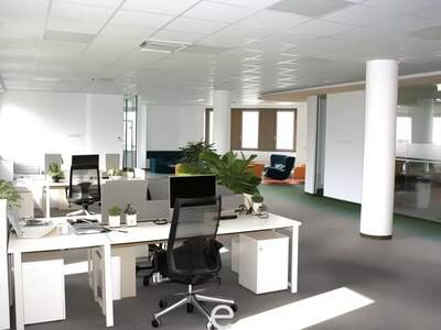 Gewerbeobjekt mieten in 1210 Wien (Bild 4)