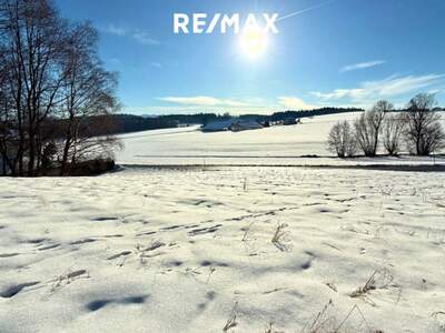 Grundstück kaufen in 4841 Ungenach (Bild 1)