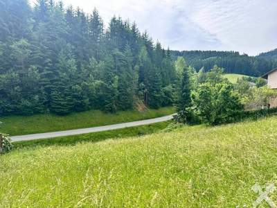 Grundstück kaufen in 8750 Judenburg