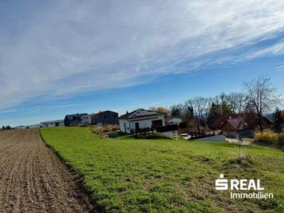 Grundstück kaufen in 4040 Lichtenberg (Bild 5)
