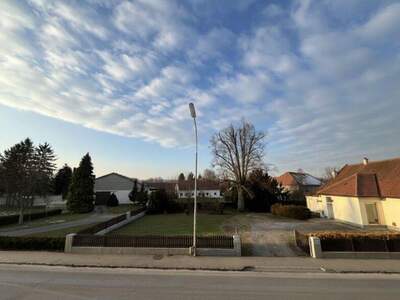 Terrassenwohnung mieten in 3140 Pottenbrunn (Bild 3)