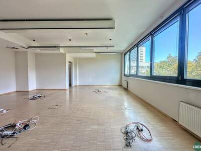 Gewerbeobjekt mieten in 1090 Wien (Bild 4)