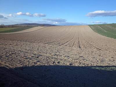 Gewerbeobjekt kaufen in 2105 Unterrohrbach