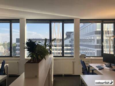 Gewerbeobjekt mieten in 1230 Wien