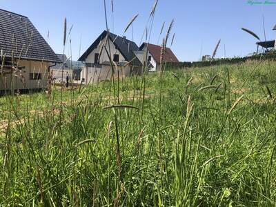 Grundstück kaufen in 8411 Hengsberg (Bild 2)