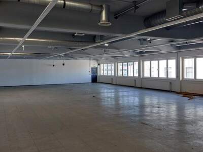 Gewerbeobjekt mieten in 2700 Wiener Neustadt (Bild 4)