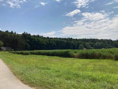 Grundstück kaufen in 8283 Bad Blumau