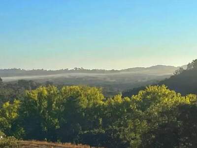 Haus kaufen (Bild 3)