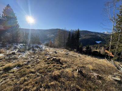 Grundstück kaufen in 8742 Mönchegg