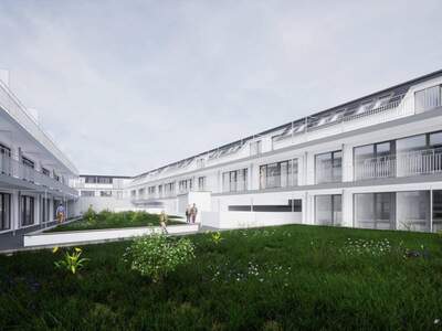 Mietwohnung in 2020 Hollabrunn