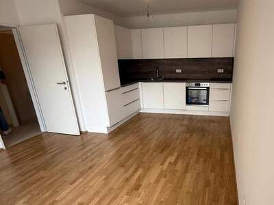 Terrassenwohnung mieten in 3423 St. Andrä (Bild 2)