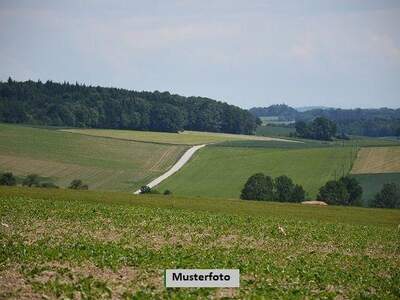 Grundstück kaufen in 3192 Hohenberg