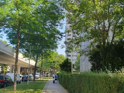 Wohnung mieten in 1220 Wien (Bild 3)