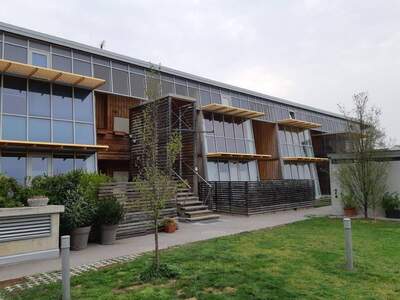 Wohnung mieten in 2223 Hohenruppersdorf