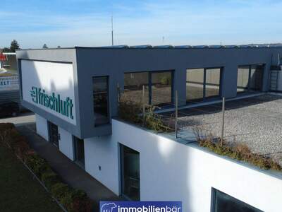 Gewerbeobjekt kaufen in 4614 Marchtrenk