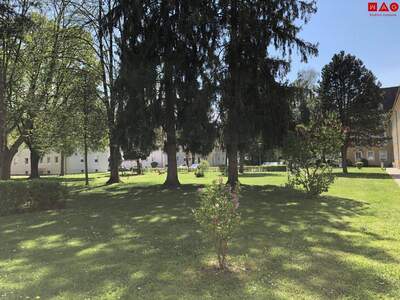 Wohnung mieten in 4400 Steyr