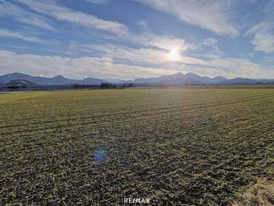 Grundstück kaufen in 9125 Kühnsdorf