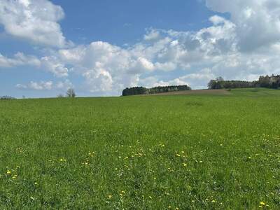Grundstück kaufen in 5143 Feldkirchen