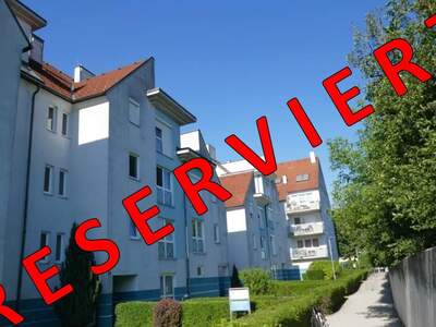 Terrassenwohnung kaufen in 2700 Wr. Neustadt (Bild 1)