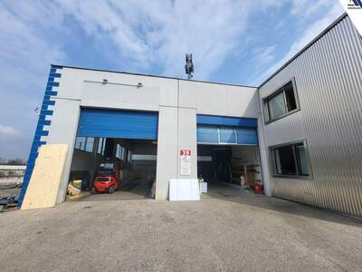 Gewerbeobjekt kaufen in 4331 Naarn (Bild 3)