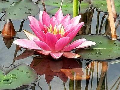 Beherbergungsbetrieb kaufen in 9620 Hermagor (Bild 1)