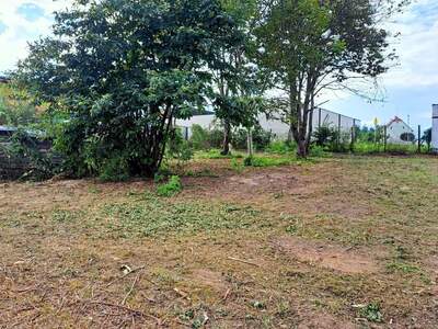 Grundstück kaufen in 8263 Großwilfersdorf