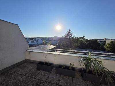 Terrassenwohnung mieten in 1210 Wien (Bild 1)