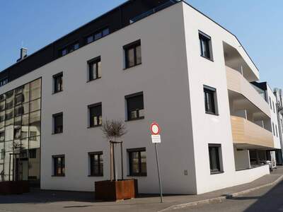 Wohnung mieten in 2700 Wiener Neustadt