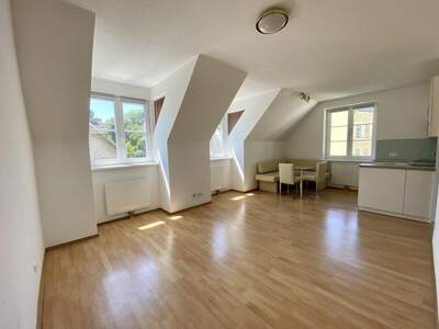 Wohnung mieten in 1190 Wien (Bild 1)