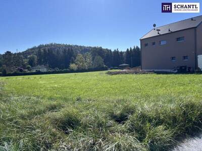 Grundstück kaufen in 8075 Hart (Bild 2)