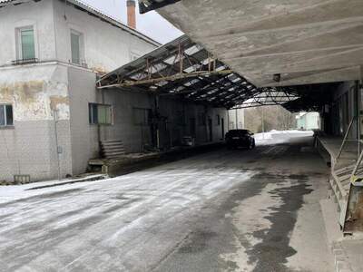 Gewerbeobjekt kaufen in 3844 Waldkirchen (Bild 4)