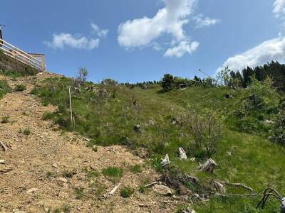 Grundstück kaufen in 9462 Wolfsberg (Bild 5)