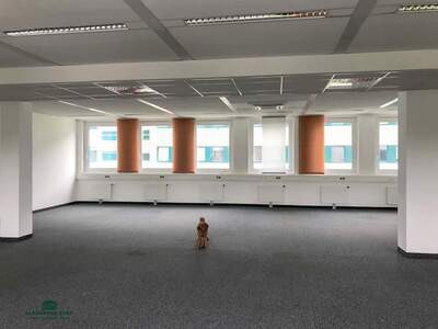 Gewerbeobjekt mieten in 5020 Salzburg