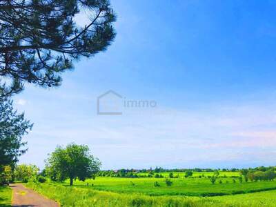 Grundstück kaufen in 7091 Breitenbrunn