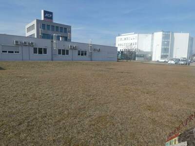 Gewerbeobjekt kaufen in 2700 Wiener Neustadt (Bild 4)