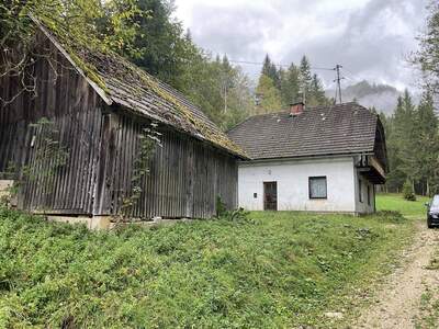 Gewerbeobjekt kaufen in 9135 Ebriach