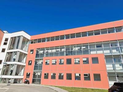 Wohnung mieten in 2542 Kottingbrunn