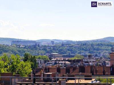 Terrassenwohnung kaufen in 1150 Wien (Bild 3)