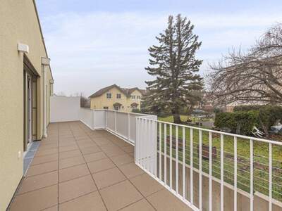 Terrassenwohnung kaufen in 2540 Bad Vöslau (Bild 3)