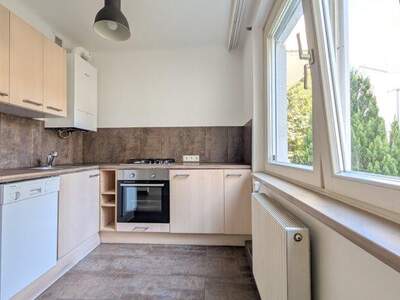 Terrassenwohnung mieten in 1230 Wien (Bild 3)