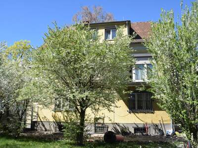 Haus kaufen in 4600 Wels (Bild 1)