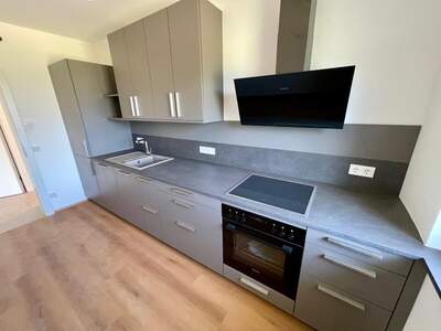 Terrassenwohnung mieten in 4813 Altmünster (Bild 3)